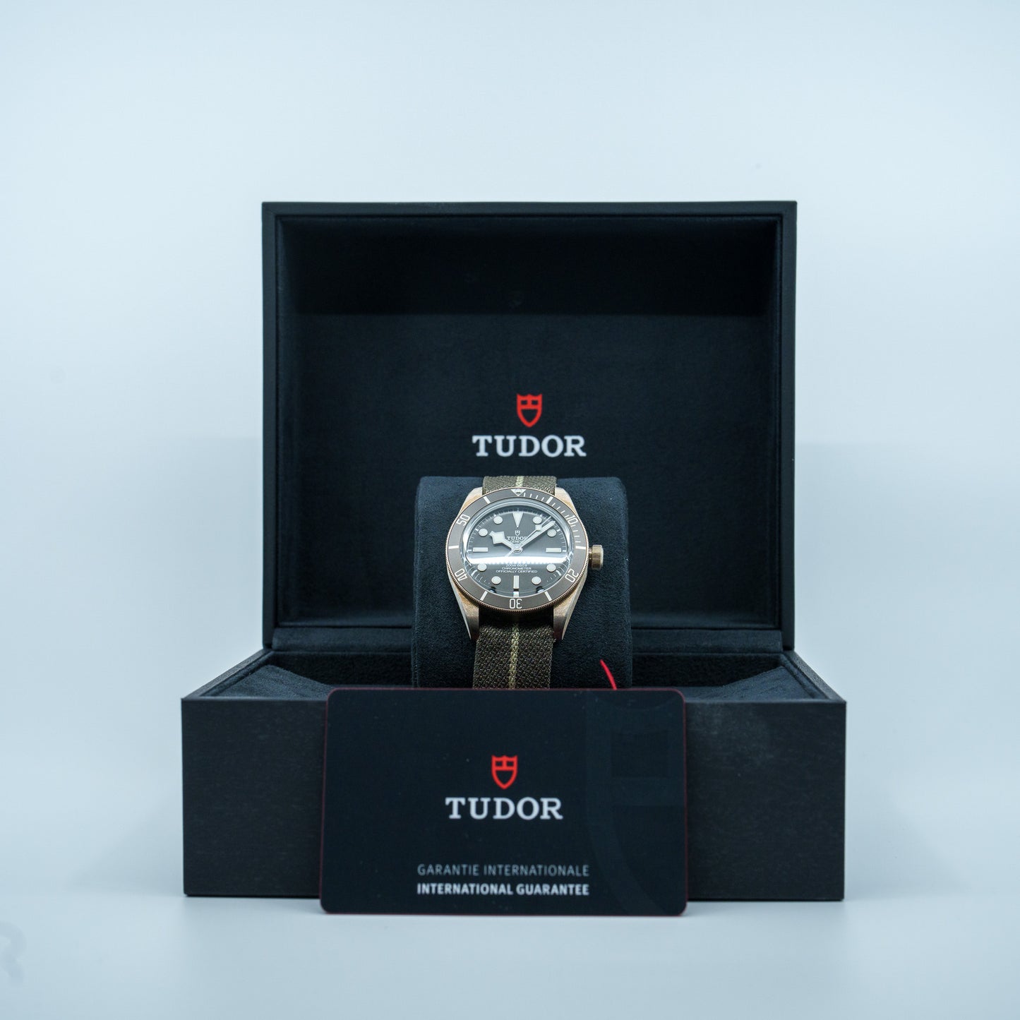 Tudor Black Bay 58 925 M79010SG-0002